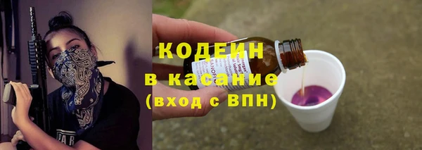 крисы Тобольск